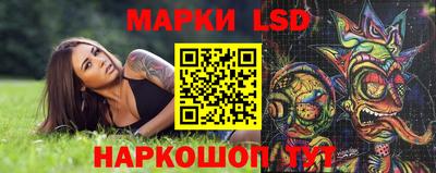 стаф Новокубанск