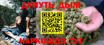 стаф Новокубанск