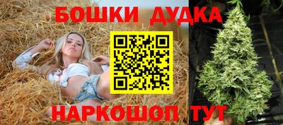 стаф Новокубанск